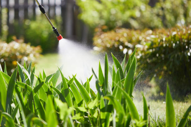 24/7 Emergency Rodent Control experts in Ulysses, KS