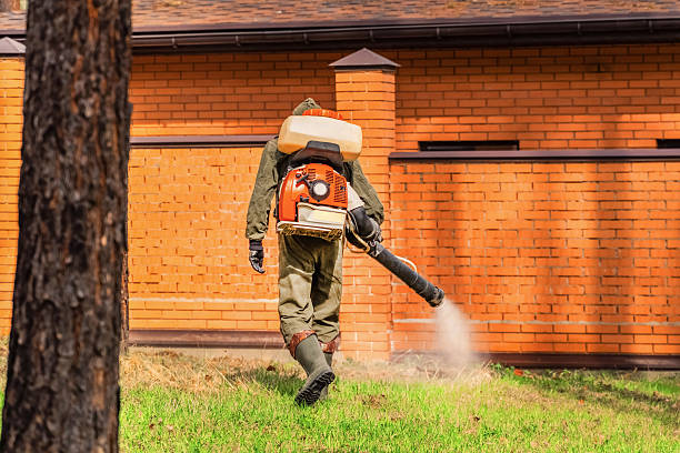 Trusted Rodent Control service in Ulysses, KS - Nex Pest Control